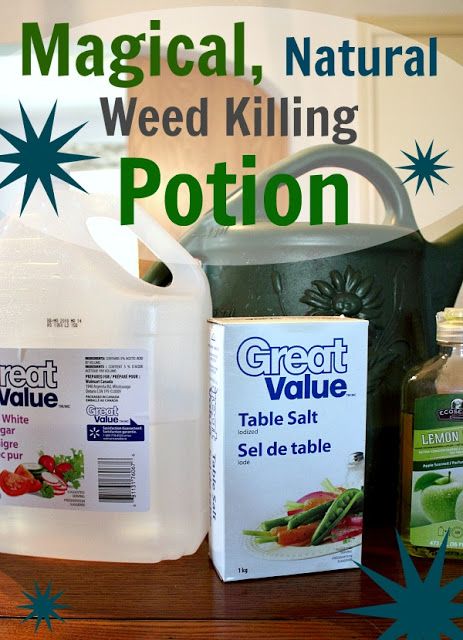 An all-natural weed killing solution that works on just about anything. You've got to try this one!